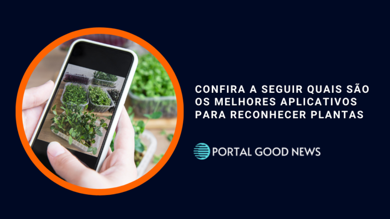 Confira a seguir quais são os melhores aplicativos para reconhecer plantas