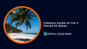 Conheça agora as Top 6 praias do Brasil