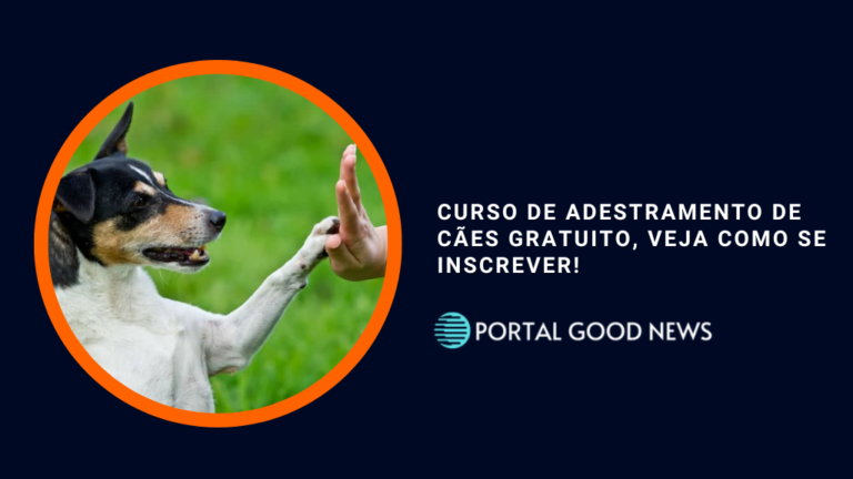 Curso de Adestramento de Cães Gratuito, veja como se inscrever!