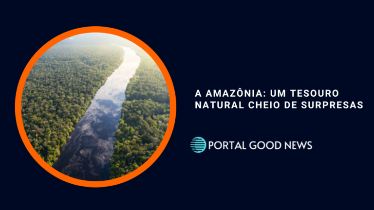 A Amazônia: um tesouro natural cheio de surpresas