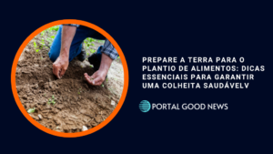 Prepare a Terra para o Plantio de Alimentos: Dicas Essenciais para Garantir uma Colheita Saudável
