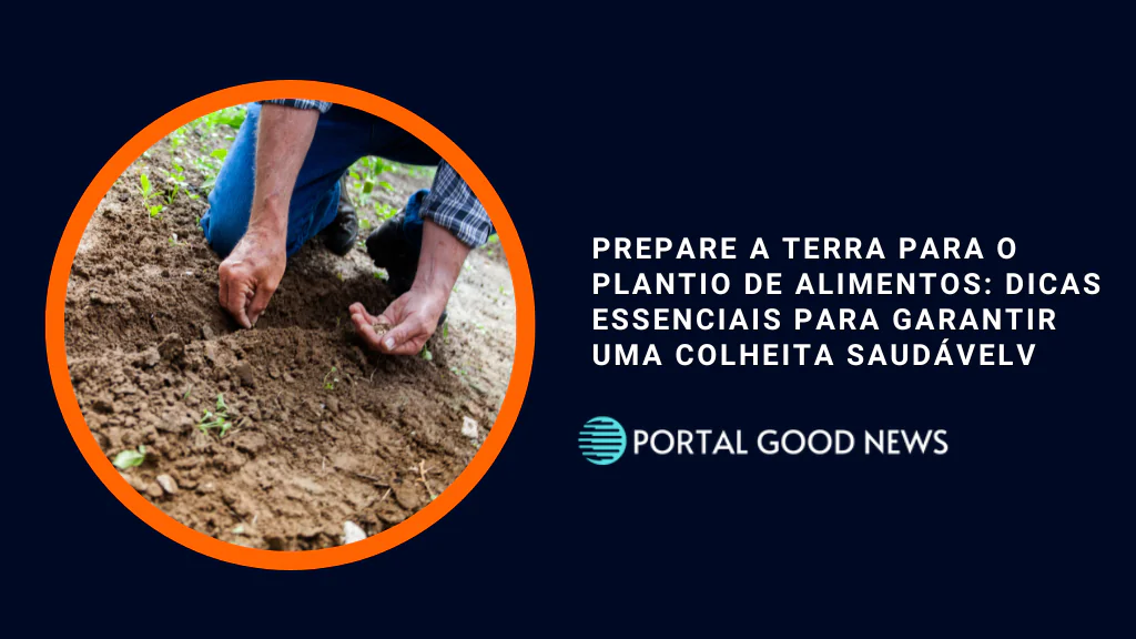 Prepare a Terra para o Plantio de Alimentos: Dicas Essenciais para Garantir uma Colheita Saudável