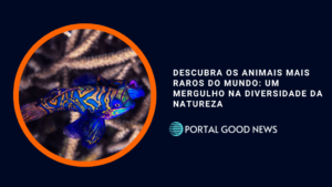 Descubra os Animais Mais Raros do Mundo: Um Mergulho na Diversidade da Natureza